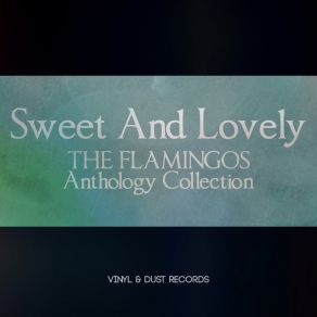 Download track Begin The Beguine The Flamingos