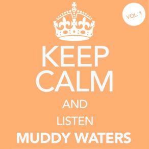 Download track Sittin' Here And Drinkin' (Whiskey Blues) Muddy Waters
