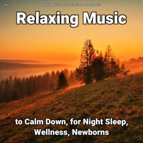 Download track Calm Music For Everyone Relaxing Music