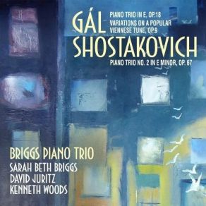 Download track 6. Shostakovich: Piano Trio No. 2 In E Minor Op. 67 - II. Allegro Con Brio Briggs Piano Trio