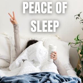 Download track Vibes Don't Lie Sleepy Sounds