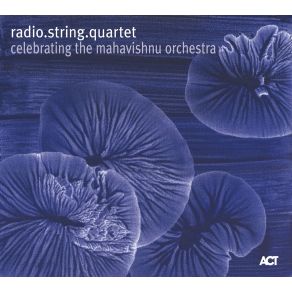 Download track A Lotus On Irish Stream Radio String Quartet Vienna