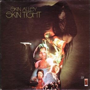 Download track If I Only Had The Time Skin Alley