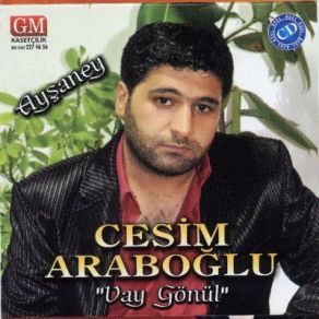 Download track Kolaymı (Ağıt) Cesim Araboğlu