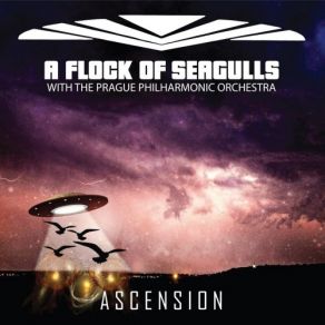 Download track Transfer Affection (Orchestral Version) A Flock Of Seagulls