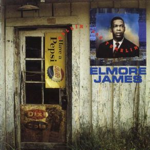 Download track I Can'T Stop Loving You Elmore James