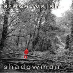 Download track After Steve Walsh