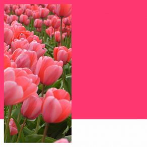 Download track Smooth Backdrops For Mental Exercises Jazz Chill Out Lounge