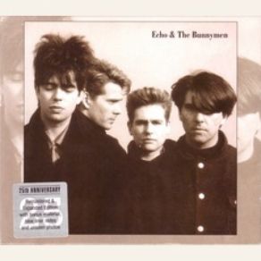 Download track The Game Echo & The Bunnymen