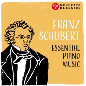 Download track Sonata For Piano No. 19 In C Minor, D. 958: III. Menuetto. Allegro Walter Klien