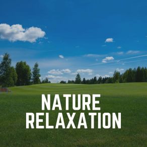 Download track It Would Be A Good Day Sons De La Nature