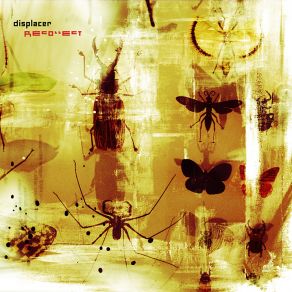 Download track Gone (But Not Forgotten Mix By Displacer) DisplacerColony Collapse Disorder