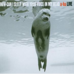 Download track Crying In The Rain A-Ha, Morten Harket, Paul Waaktaar - Savoy, Magne Furuholmen, Anneli Drecker