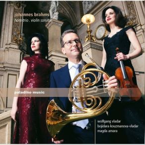 Download track 09 Violin Sonata No. 3 In D Minor, Op. 108 II. Adagio Johannes Brahms