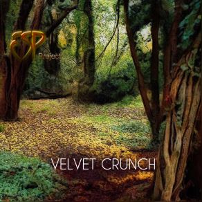Download track The Touch And Timing Of The Sun ESP Project