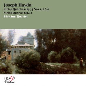 Download track String Quartet In B Minor, Op. 33 No. 1, Hob. III: 37: III. Andante Párkányí Quartet
