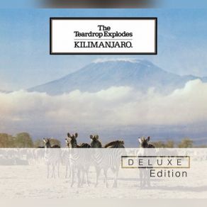 Download track Strange House In The Snow The Teardrop Explodes