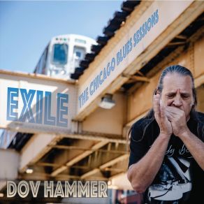 Download track I'm Just Your Fool Dov Hammer
