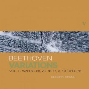Download track Variations In D Major, Op. 76: Var. 6, Presto Giuseppe Bruno