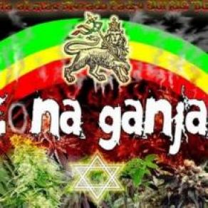 Download track Mi FLoW Zona Ganjah