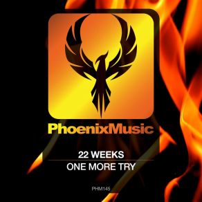 Download track One More Try (Edit) 22 Weeks