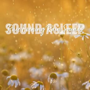 Download track Pure Evening Rain Sounds, Pt. 14 Elijah Wagner
