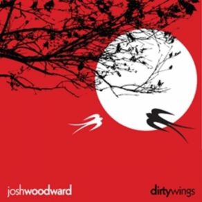 Download track Nincompoop Josh Woodward