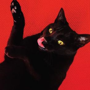 Download track It's So Quiet, It's Loud Ryan Adams
