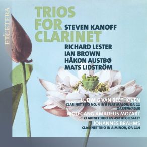Download track Clarinet Trio In A Minor Op. 114: IV. Allegro Steven Kanoff