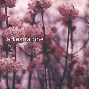 Download track I Really Want You Nina Miranda, Arkestra One