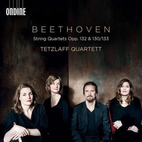 Download track 3. String Quartet No. 15 In A Minor Op. 132 - III. Molto Adagio Ludwig Van Beethoven