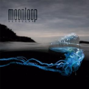 Download track Megalodon Moonloop