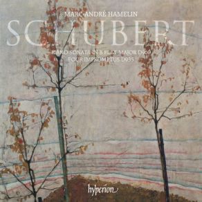 Download track Impromptus, D 935꞉ No. 1 In F Minor. Allegro Moderato Franz Schubert, Marc - Andre Hamelin