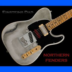 Download track Fallen Trees Einsteins DadSteve Shouse, Richard Bradley, Dave Budd