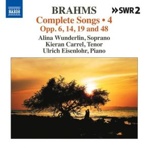 Download track 18 - 5 Gedichte, Op. 19 - No. 4, Der Schmied Johannes Brahms
