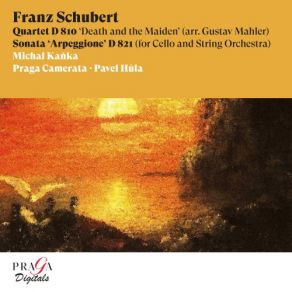 Download track String Quartet No. 14 In D Minor, D. 810