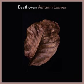 Download track Variation V. Marcia. Allegretto In C Minor Pletnev Mikhail