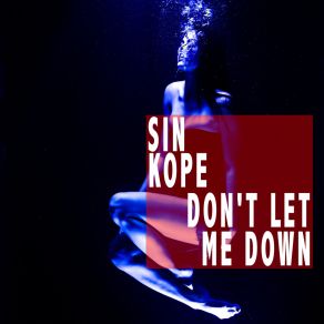 Download track Flowers (Scent Of House Mix) Sin Kope