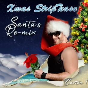 Download track Dust In The Wind (Sarah Menescal) DJ SantaSarah Menescal