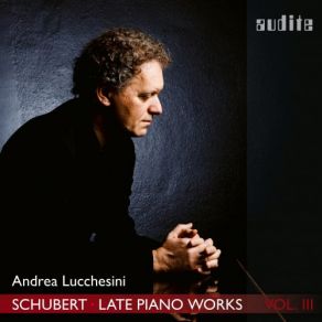 Download track Piano Sonata No. 19 In C Minor, D. 958: III. Menuetto. Allegro Andrea Lucchesini