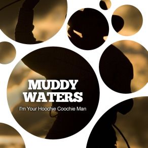 Download track Smokestack Lightin' Muddy Waters