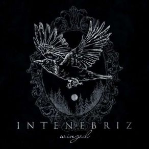 Download track Shadows We Leave In Tenebriz