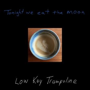 Download track Tonight We Eat The Moon (Vox Box Mix) Low Key Trampoline