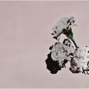 Download track What If I Told You? (Interlude) (Album Version) John Legend