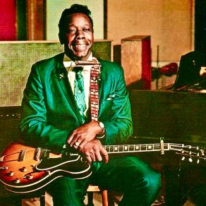 Download track Wonderin' And Worryin' (Remastered) Slim Harpo