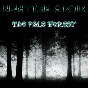 Download track A Void Nighttime Static