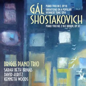 Download track Shostakovich: Piano Trio No. 2 In E Minor, Op. 67: II. Allegro Con Brio Briggs Trio