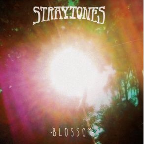 Download track Robbery Straytones