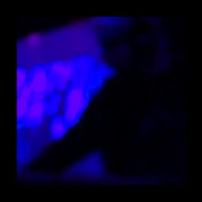 Download track Intro Blamstrain