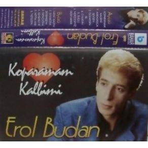 Download track Gençliğim Erol Budan